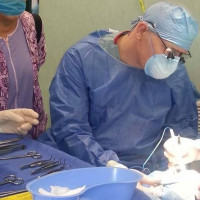 Evolve Aesthetic Surgery
