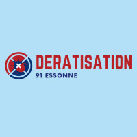 Deratisation 91 Essonne