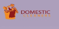 Domestic Cleaners