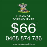 Lawn Mowing 99