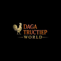 CEOdagatructiep world