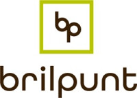 Brilpunt