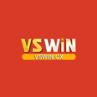 VSWIN