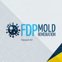 FDP Mold Remediation | Mold Remediation Newark