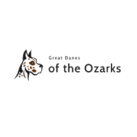 Great Danes of the Ozarks