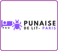 Punaise de lit Paris