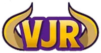 Viking Junk Removal