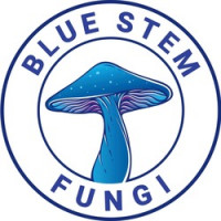 Blue Stem Fungi