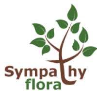 London Sympathy Flora