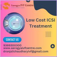 Low Cost ICSI Treatment in Delhi
