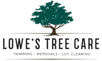 Lowes Tree Care Service LLC