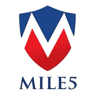 London Airport Taxi Transfers - MILE5