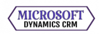 Microsoft Dynamics CRM Services Providers