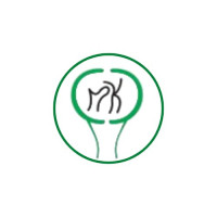 Top Orthopaedic Surgeon in Noida Extension – Advanced Orthopaedic Treatment