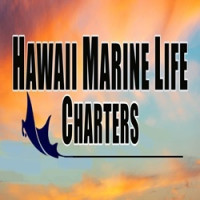 Manta Ray Night Snorkel Kona