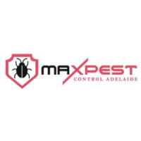 Best Termite Control Adelaide