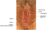 Best Colposcopy in Toronto – Expert Women’s Gynecology Care