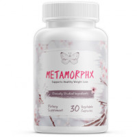How Does Metamorphx Work?