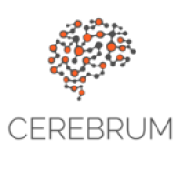 Cerebrum