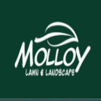Molloy Lawn & Landscape