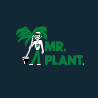 Mr Plant