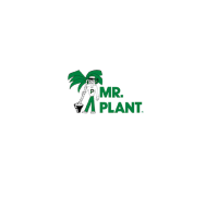 Mr. Plant