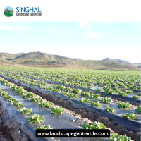 Premium Mulch Film for Enhanced Crop Growth and Weed Control
