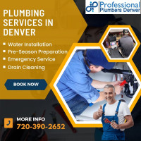 Professional Plumbers Denver
