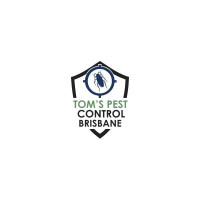 Termite Inspection Brisbane | Tom's Pest Control Brisbane