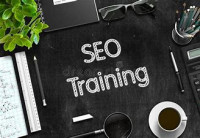 Online SEO Course