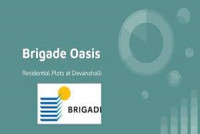 Brigade Oasis