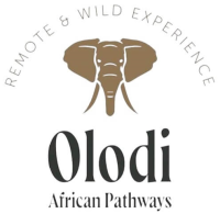 Olodi African Pathways