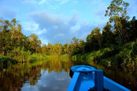 VARADA BORNEO: Orangutan Tour Operator & DMC