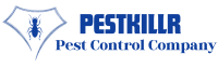 PestKillr| Expert pest control services in Lahore