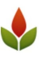 Phoenix SEO Company, LHI SEO Marketing Company