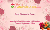 PuneOnlineFlorists - Your One-Stop Destination for Beautiful Flowers!