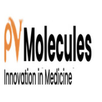 PV Molecules
