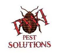 Pest Control Service - Pest Control PWI