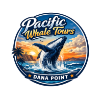 Pacific Whale Tours Dana Point