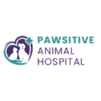 Animal Care Hospital