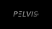 Pelvis NYC - Dr. Adam Gvili PT, DPT
