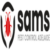 Ant Control Adelaide