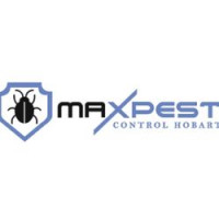 Spider Inspection Hobart