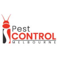 I Wasp Removal Melbourne