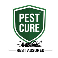 Home & Commercial Pest Control in Delhi NCR | Pest Cure