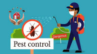 Pest Control Indooroopilly