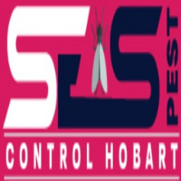 Flies Treatment Hobart