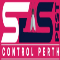 Possum Removal Service Perth