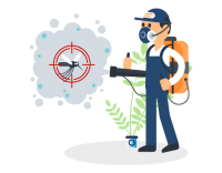Pest Control Chatswood