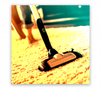 Carpet Cleaning Paradise